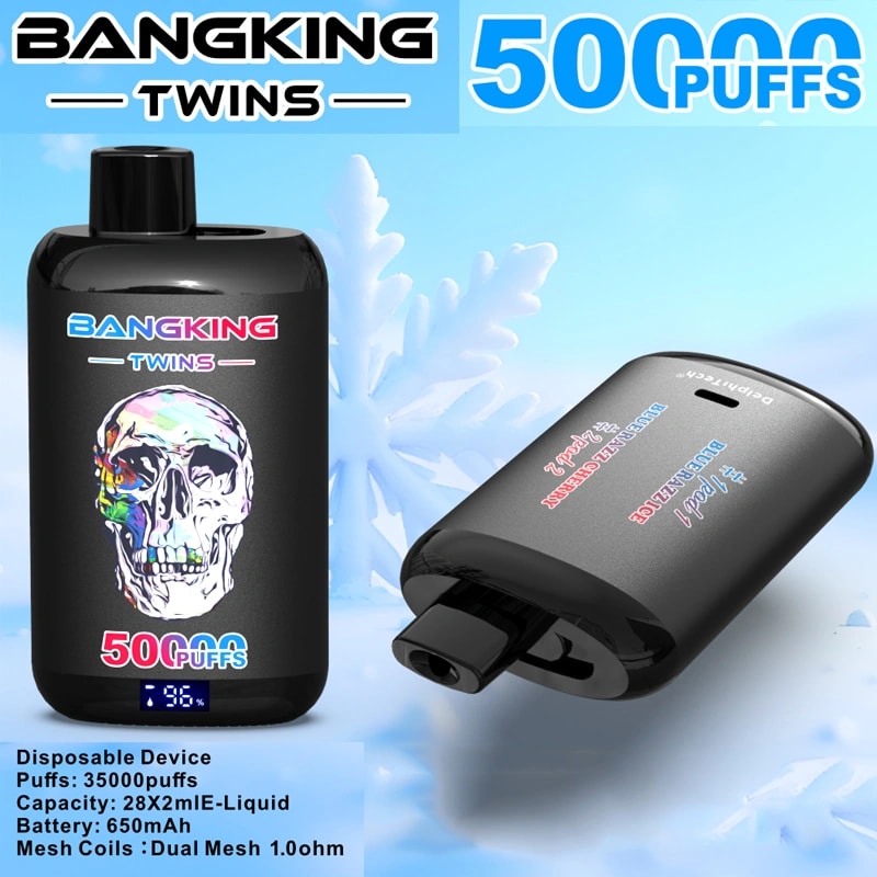 Two black Bangking Twins disposable vape devices—one upright displaying a colourful skull graphic, '500 puffs' label and a small battery percentage, the other lying on its side showing the mouthpiece—set against a pale blue icy background with prominent '500 PUFFS' branding.