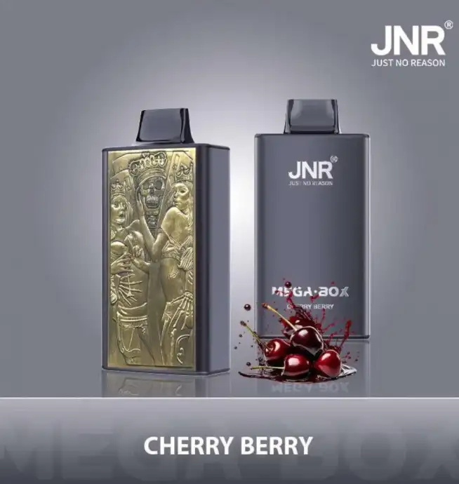 jnr mega box 25000 puffs original genuine disposable vape type c charging port crystal 25k customizable. fast shipping