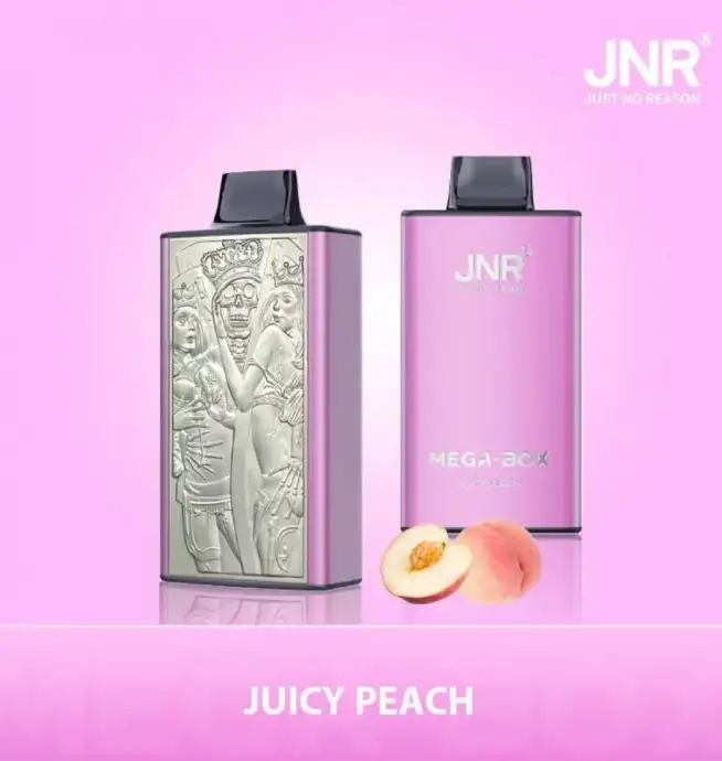jnr mega box 25000 puffs original genuine disposable vape type c charging port crystal 25k customizable. fast shipping