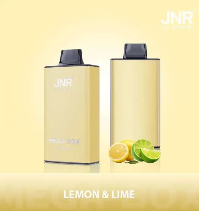 jnr mega box 25000 puffs original genuine disposable vape type c charging port crystal 25k customizable. fast shipping