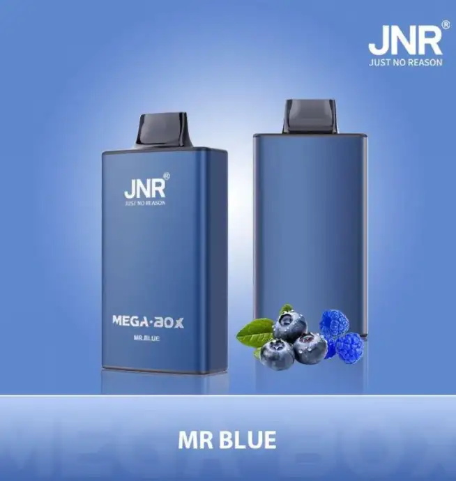 jnr mega box 25000 puffs original genuine disposable vape type c charging port crystal 25k customizable. fast shipping