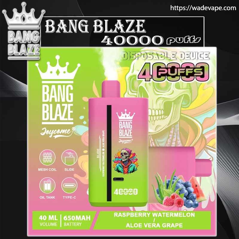 Colourful product packaging for a Bang Blaze disposable vape showing a pink-and-green gradient device with crown logo and skull artwork, labelled 40,000 puffs and featuring raspberry, watermelon, aloe vera and grape flavour icons plus specs (40 ml volume, 650 mAh battery) on a vivid background