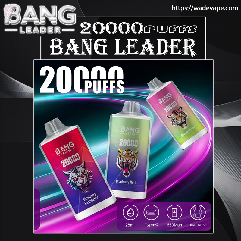Promotional poster for Bang Leader 20,000-puff disposable vapes showing three colourful rectangular devices with roaring tiger logos and flavour labels (Blueberry Raspberry, Blueberry Mint, Strawberry Kiwi) against neon purple and teal swirl background, with brand logo, website URL and feature icons for 28ml, Type-C, 650mAh and dual mesh.