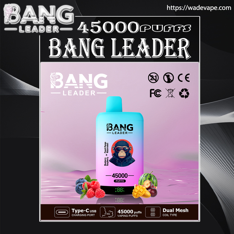 Packaging for a Bang Leader disposable vape featuring a pastel blue-to-pink device labelled "Bang Leader" and "45000 puffs," displayed on a purple background with raspberries, blueberries, mango and watermelon, plus icons for Type-C charging, dual mesh coil and various certification logos.