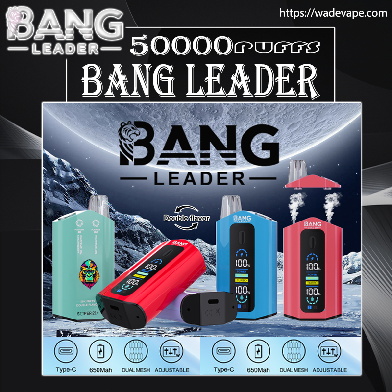 Advertisement for Bang Leader disposable vapes showing red, blue and teal devices in front of a moonlit icy landscape with a '50,000 puffs' headline, a double-flavour icon, device screens and mouthpieces, feature icons (Type‑C, 650 mAh, dual mesh, adjustable) and a website URL.