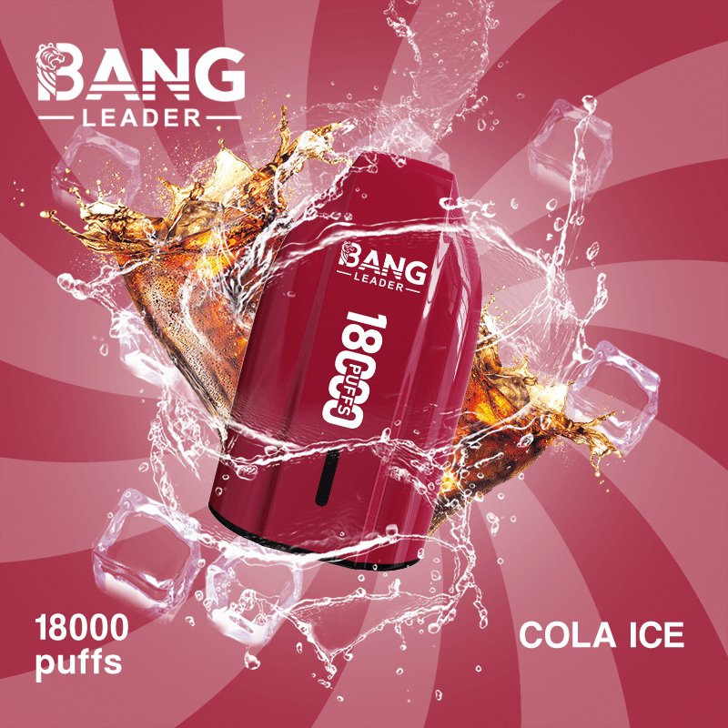 bang leader 18000 puffs original bang leader 18k vape type c port disposable e cigarettes customizable. fast shipping