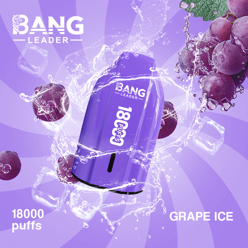 bang leader 18000 puffs original bang leader 18k vape type c port disposable e cigarettes customizable. fast shipping