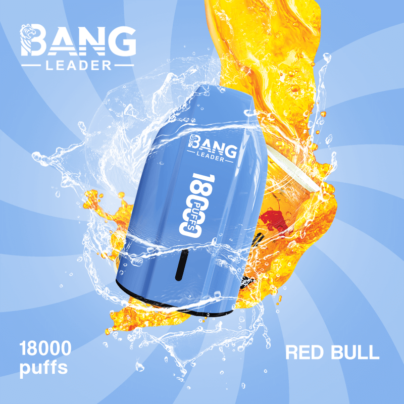 bang leader 18000 puffs original bang leader 18k vape type c port disposable e cigarettes customizable. fast shipping