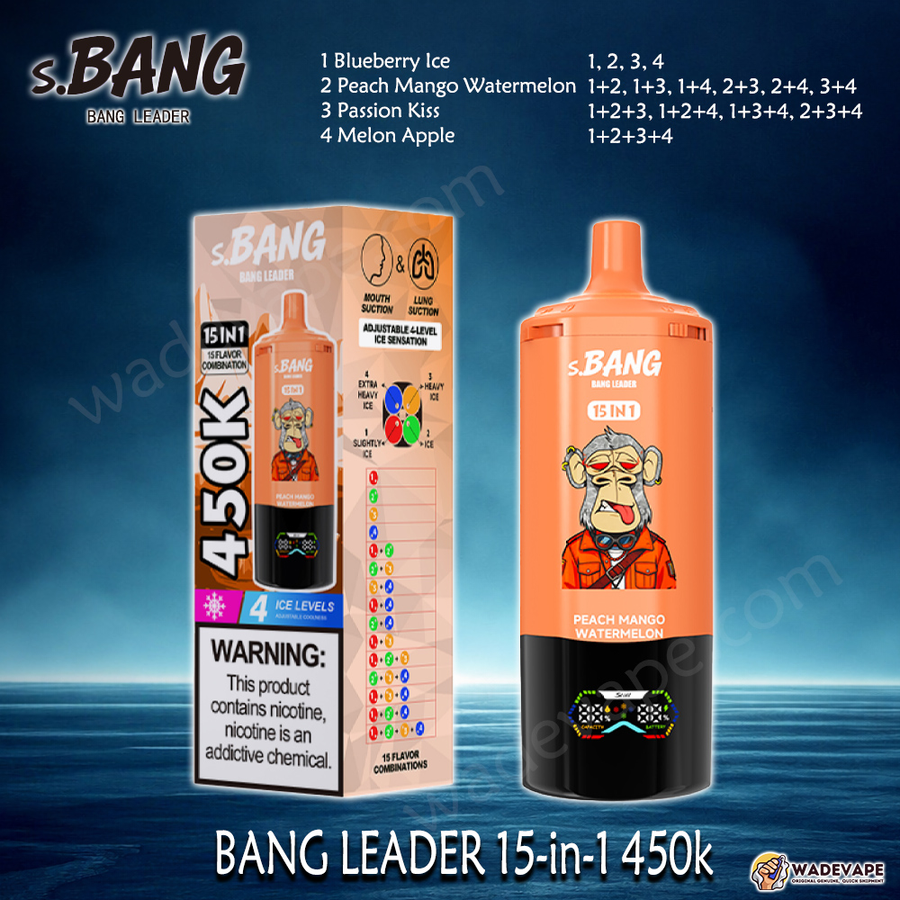 BANG LEADER 15-in-1 450K Disposable Vape | Smart Display Type-C Port|  Adjustable 4-Level Ice | Dual Mode Mouth/Lung Suction Vape