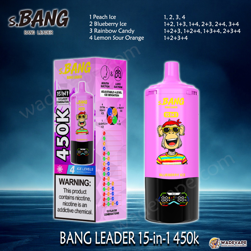 BANG LEADER 15-in-1 450K Disposable Vape | Smart Display Type-C Port| Adjustable 4-Level Ice | Dual Mode Mouth/Lung Suction Vape - WadeVape BANG LEADER 15-in-1 450K Disposable Vape | Smart Display Type-C Port| Adjustable 4-Level Ice | Dual Mode Mouth/Lung Suction Vape - WadeVape