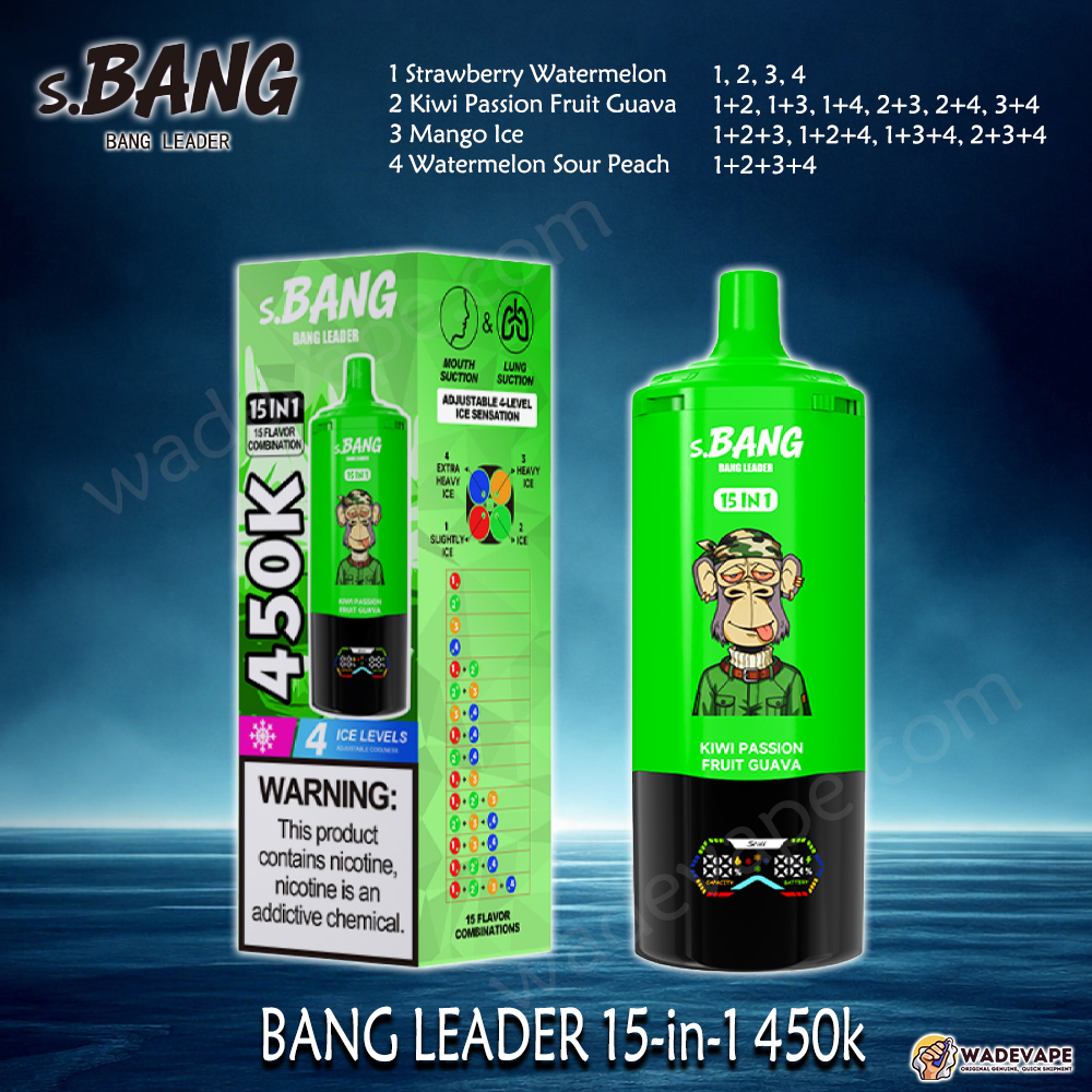 BANG LEADER 15-in-1 450K Disposable Vape | Smart Display Type-C Port|  Adjustable 4-Level Ice | Dual Mode Mouth/Lung Suction Vape - WadeVape