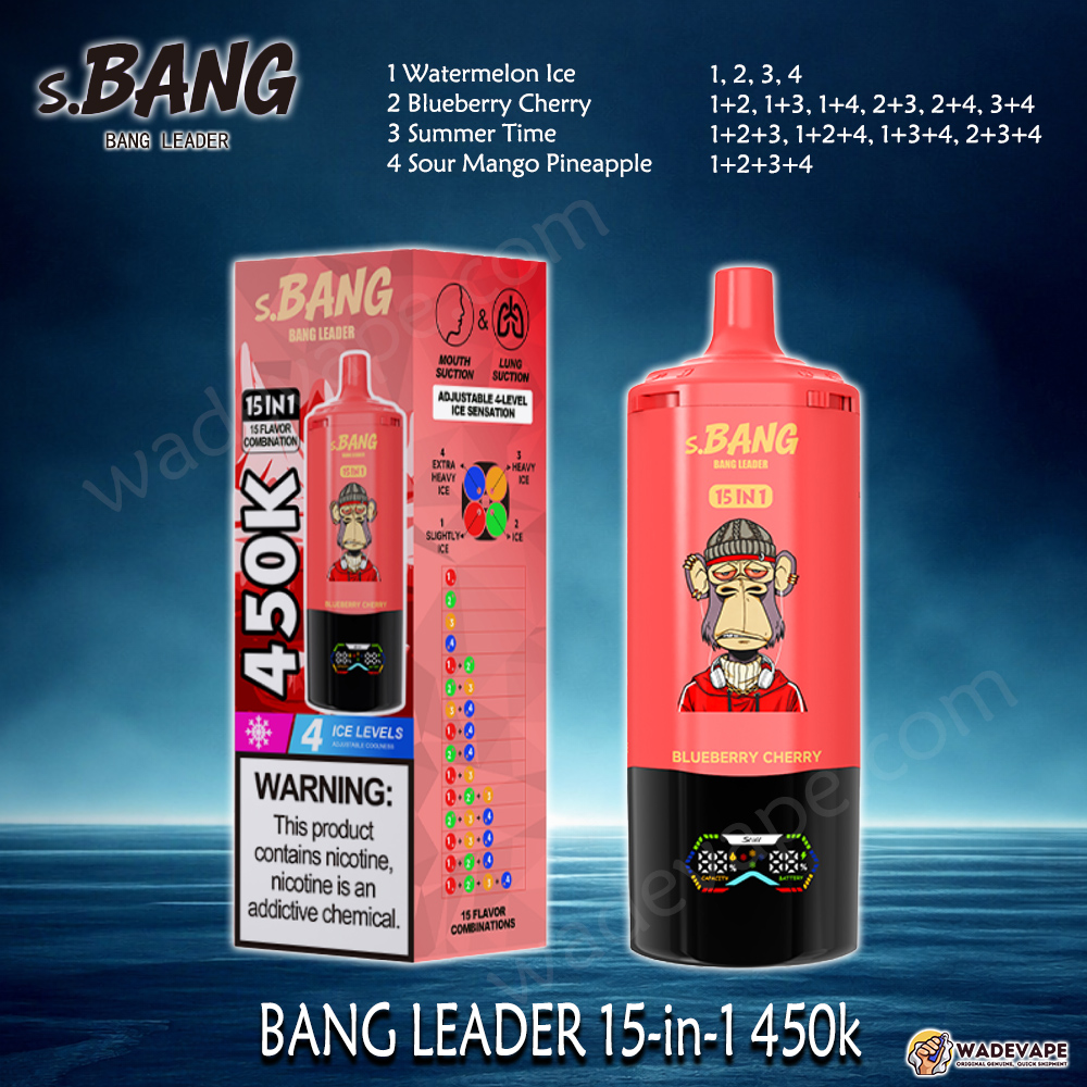 Bang Leader Jednorazowy waporyzator 15 w 1 450 tys. | inteligentny wyświetlacz typu c port | regulowany 4-stopniowy waporyzator lodowy | podwójny tryb waporyzator z zasysaniem ust/płuc