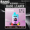50k Puffs,Dual Flavor Vape,MTL(Mouth To Lung),50000 Puffs Vape,Digital Box Vapes,bang 50000,bang leader