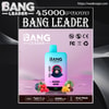 Packaging for a Bang Leader disposable vape featuring a pastel blue-to-pink device labelled "Bang Leader" and "45000 puffs," displayed on a purple background with raspberries, blueberries, mango and watermelon, plus icons for Type-C charging, dual mesh coil and various certification logos.