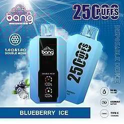 Two light-blue Bang disposable vape devices on an icy, clouded background with blueberries and ice; one shows a black front panel with the Bang logo and LED battery indicators while the other is tilted to display large '25 PUFFS' lettering and 'BLUEBERRY ICE' flavor, with icons indicating double-mesh coils, 30 ml volume, a 650 mAh battery and Type-C charging.