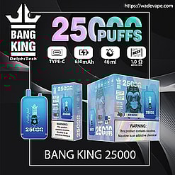 Bang King 25000 puffs Original Genuine Dual Intake Port 25K Customizable. Fast shipping