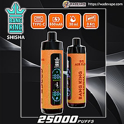 Bang King Shisha 25000 puffs Original Genuine Dual Intake Port 25K Customizable. Fast shipping