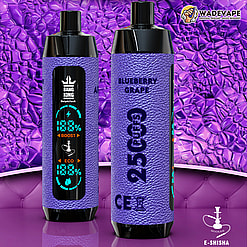 Two upright cylindrical purple‑textured e‑shisha devices displayed against a glossy purple patterned background; the front unit shows a vertical digital screen with battery, boost and eco indicators, and the rear unit is labelled BLUEBERRY GRAPE and 25 PUFFS, with small Bang King and WadeVape logos and a hookah icon.