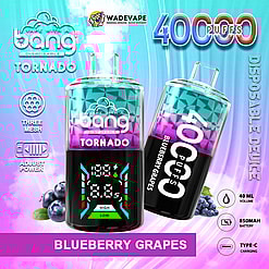 Two colourful Bang Tornado disposable vape devices in teal-to-purple gradient labelled Blueberry Grapes, one showing a digital display, with a prominent “4000 puffs” headline and icons for 40 ml volume, 850 mAh battery and Type‑C charging.