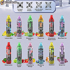 35k Puffs,Dual Flavor Vape,MTL(Mouth To Lung),35000 Puffs Vape,bang king 35000,bang 35k,35000 puffs