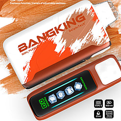 Bangking Ice Cool disposable vape device and packaging in white and orange brush-stroke design, labelled 50K puffs and 5 levels adjustable coolness, with a front digital display showing four ice-cube icons and icons for Type-C, 850mAh battery and 25ml e-liquid.