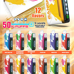 Promotional poster for BANGKING Ice Cool disposable vape featuring two close-up, paint-splattered devices and a digital display, prominent product specs (50,000 puffs, 25 ml e-liquid, 850 mAh rechargeable battery, Type-C charging, five levels of adjustable coolness) and a lower grid showing 12 colourful labelled flavour variations, each represented by a small device image.