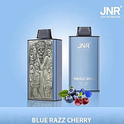 jnr mega box 25000 puffs original genuine disposable vape type c charging port crystal 25k customizable. fast shipping