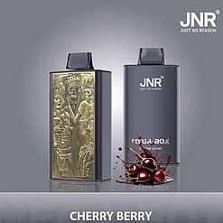 jnr mega box 25000 puffs original genuine disposable vape type c charging port crystal 25k customizable. fast shipping