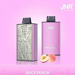 jnr mega box 25000 puffs original genuine disposable vape type c charging port crystal 25k customizable. fast shipping