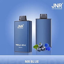 jnr mega box 25000 puffs original genuine disposable vape type c charging port crystal 25k customizable. fast shipping