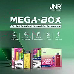 jnr mega box 25000 puffs original genuine disposable vape type c charging port crystal 25k customizable. fast shipping