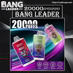 Bang Leader 20000 puffs Original Genuine Intake Port 20K Customizable. Fast shipping