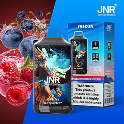 jnr falcon 16000 puffs original genuine disposable vape type c charging port crystal 16k customizable. fast shipping