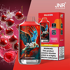 jnr falcon 16000 puffs original genuine disposable vape type c charging port crystal 16k customizable. fast shipping