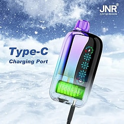 jnr flex ice 21000 puffs original genuine disposable vape led display type c charging port crystal 21k customizable. fast shipping
