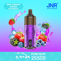 jnr panda 25500 puffs original genuine jnr panda 25.5k disposable vape refillable oil led display type c charging port customizable. fast shipping