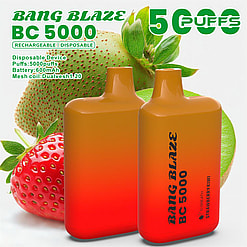 bang blaze bc 5000 puffs original bang blaze 5k puffs vape type c disposable e cigarettes customizable. fast shipping