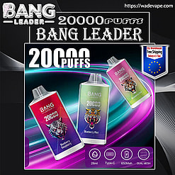bang leader 20000 puffs original bang leader 20k puffs vape type c disposable e cigarettes free shipping from eu warehouse
