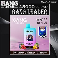 bang leader 45000 puffs original bang 2in1 45k vape led e liquid battery display free shipping from eu warehouse