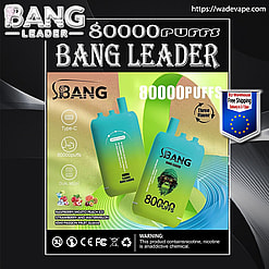 bang leader 80000 puffs original genuine intake port 80k customizable. fast shipping (copy)