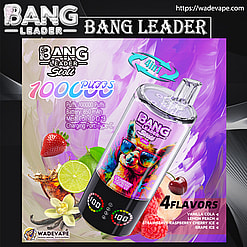 bang leader 100000 puffs original bang leader 100k 4 flavors in 1 vape led display type c port disposable e cigarettes customizable. fast shipping