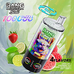 bang leader 100000 puffs original bang leader 100k 4 flavors in 1 vape led display type c port disposable e cigarettes customizable. fast shipping