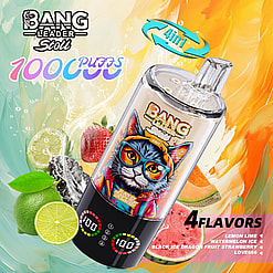 bang leader 100000 puffs original bang leader 100k 4 flavors in 1 vape led display type c port disposable e cigarettes customizable. fast shipping