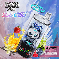 bang leader 100000 puffs original bang leader 100k 4 flavors in 1 vape led display type c port disposable e cigarettes customizable. fast shipping