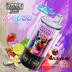 bang leader 100000 puffs original bang leader 100k 4 flavors in 1 vape led display type c port disposable e cigarettes customizable. fast shipping
