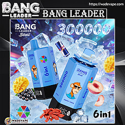 bang leader 300000 puffs original bang leader stoll 300k 6 flavors in 1 vape led display type c port disposable e cigarettes customizable fast shipping