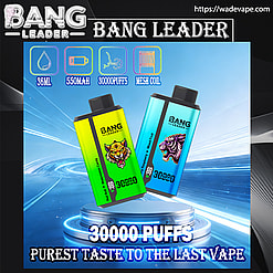 bang leader 30000 puffs original bang leader 30k double flavor vape led display type c port disposable e cigarettes customizable. fast shipping