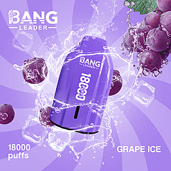 bang leader 18000 puffs original bang leader 18k vape type c port disposable e cigarettes customizable. fast shipping