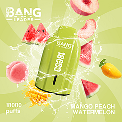 bang leader 18000 puffs original bang leader 18k vape type c port disposable e cigarettes customizable. fast shipping