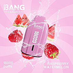 bang leader 18000 puffs original bang leader 18k vape type c port disposable e cigarettes customizable. fast shipping